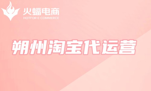 朔州淘寶代運(yùn)營(yíng) 朔州淘寶代運(yùn)營(yíng)