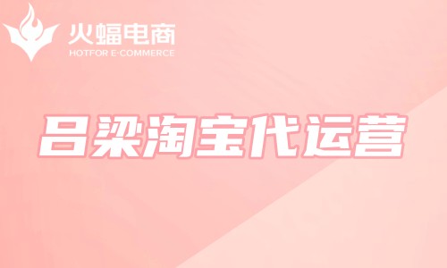 呂梁淘寶代運(yùn)營 呂梁淘寶代運(yùn)營