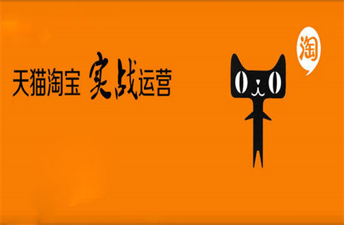 鄭州有淘寶代運營嗎嗎？火蝠代運營效果怎么樣？