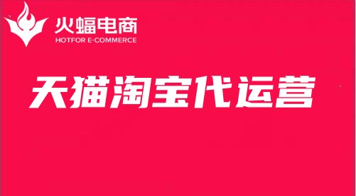 珠海淘寶代運營多少錢（武漢火蝠）