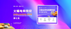 營銷實力領先，火蝠電商榮登艾媒2023品牌電商服務商TOP榜
